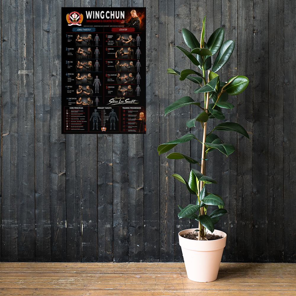 Wing Chun Simultaneous & Counter Techniques Training Poster